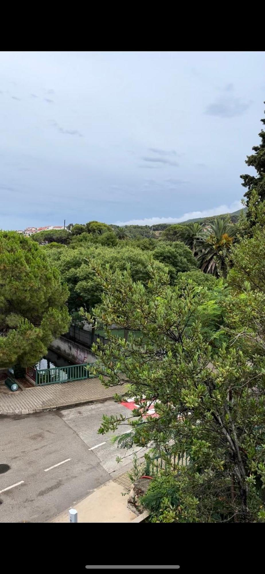 Jelsa Park Apartment